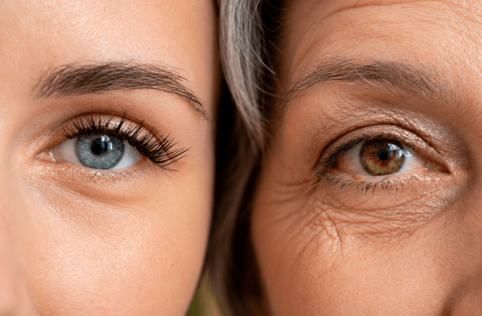Age Management and Cellular Longevity - Youthful and Timeless Vitality